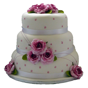 Wedding cake PNG-19461